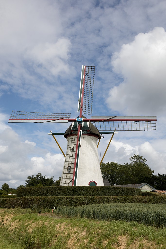 molen molens hdr erfgoed polder landschap windmolen windmolenpark windpark windmolens windturbine windenergie windturbines